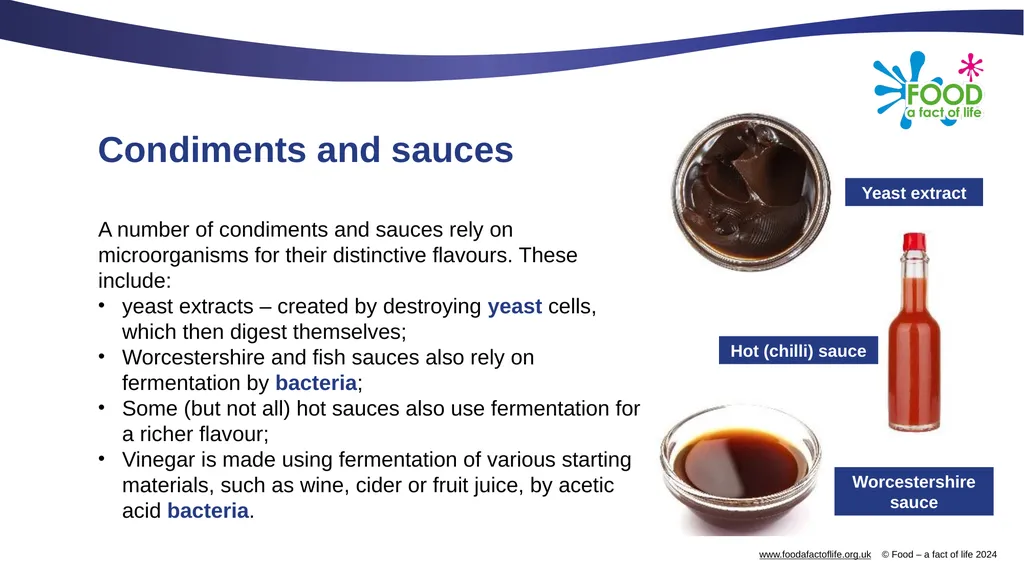 Microorganisms in food production Microorganisms - slide 10 of 14