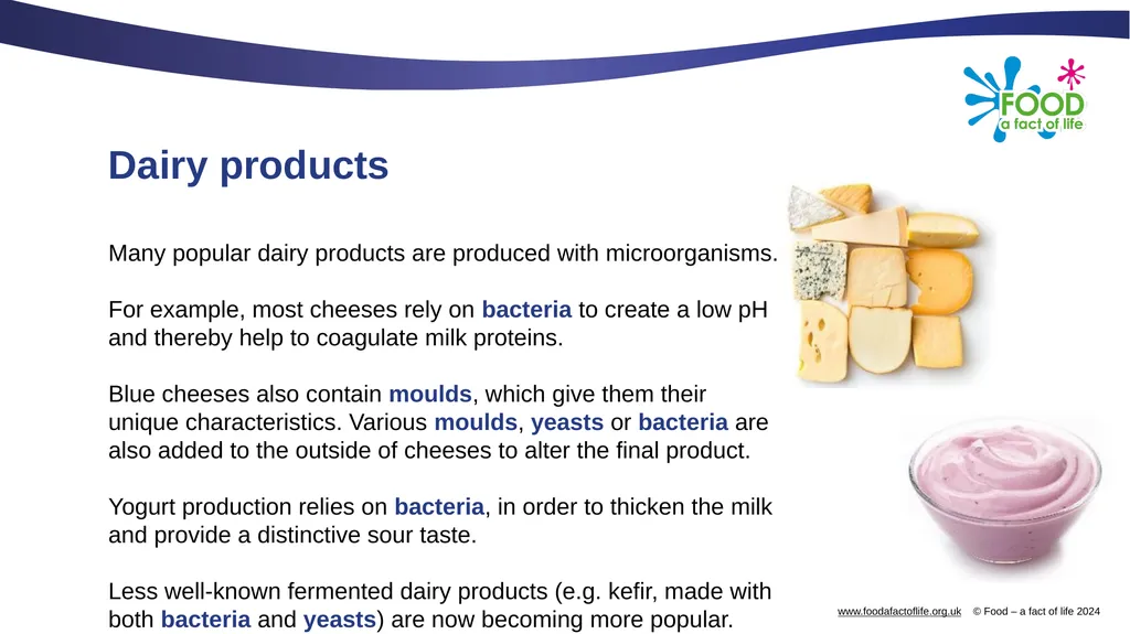 Microorganisms in food production Microorganisms - slide 5 of 14