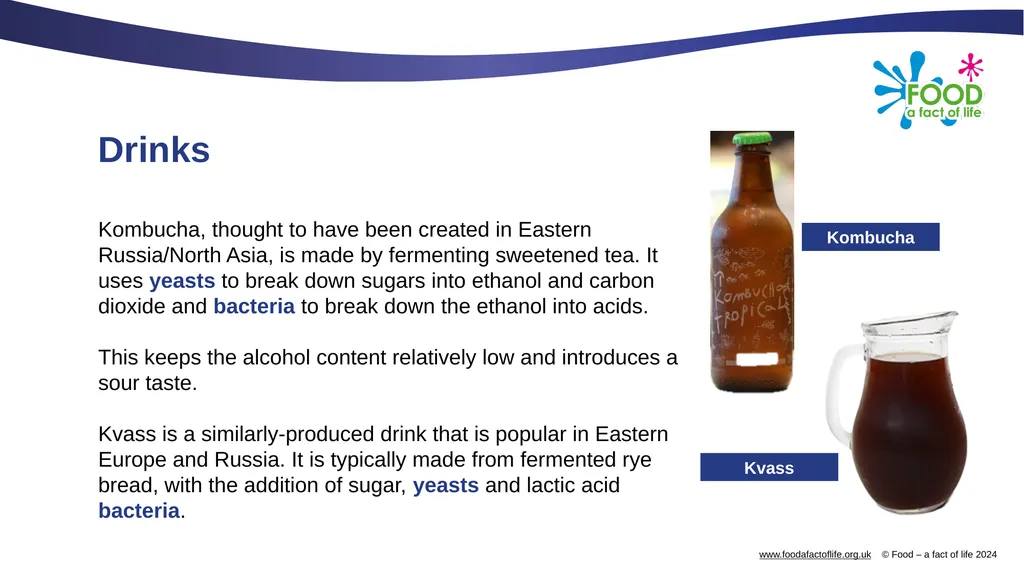 Microorganisms in food production Microorganisms - slide 11 of 14