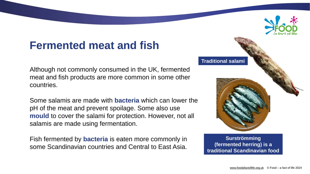 Microorganisms in food production Microorganisms - slide 8 of 14