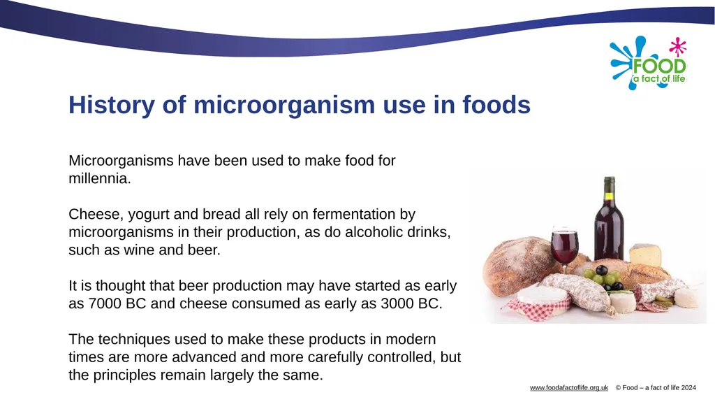 Microorganisms in food production Microorganisms - slide 3 of 14