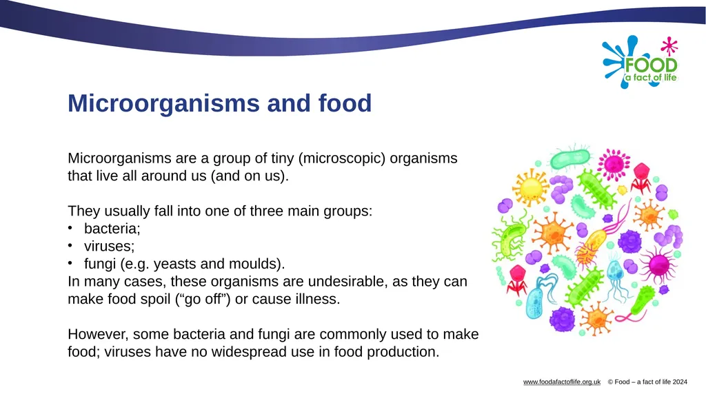 Microorganisms in food production Microorganisms - slide 2 of 14