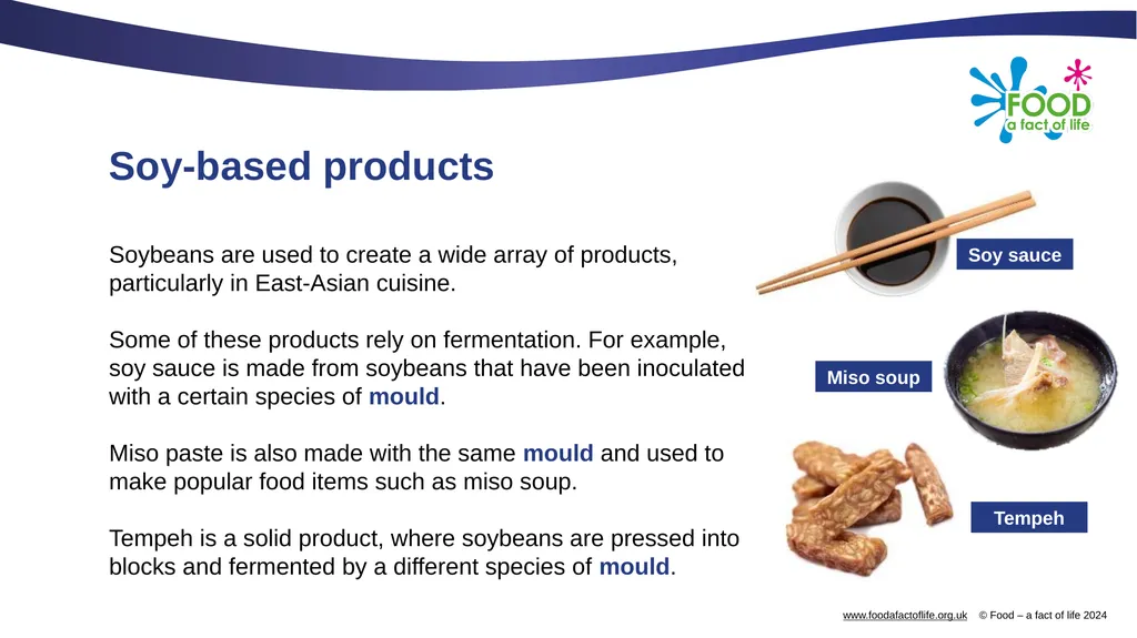 Microorganisms in food production Microorganisms - slide 7 of 14