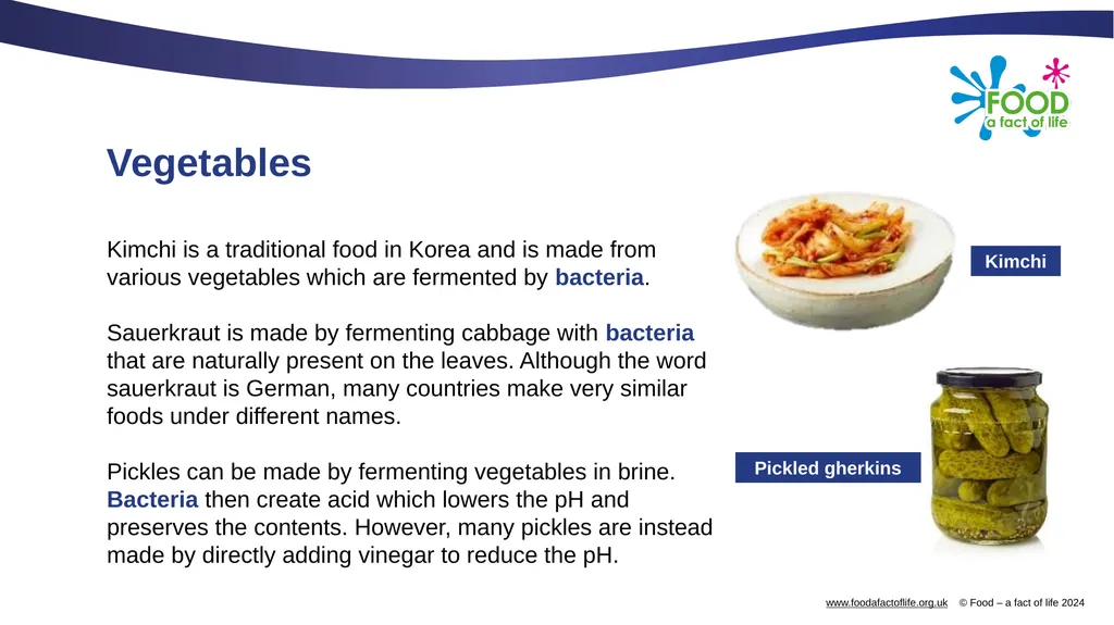 Microorganisms in food production Microorganisms - slide 9 of 14