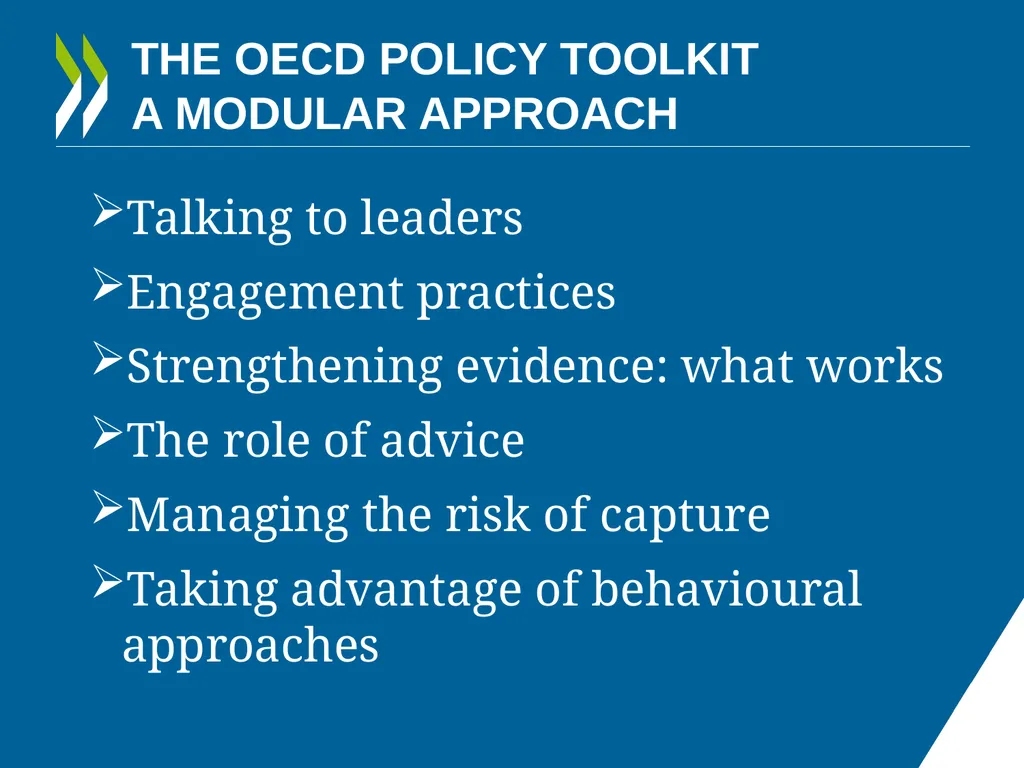 IMPROVING POLICY MAKING WHAT ARE THE OPTIONS FOR - slide 4 of 20