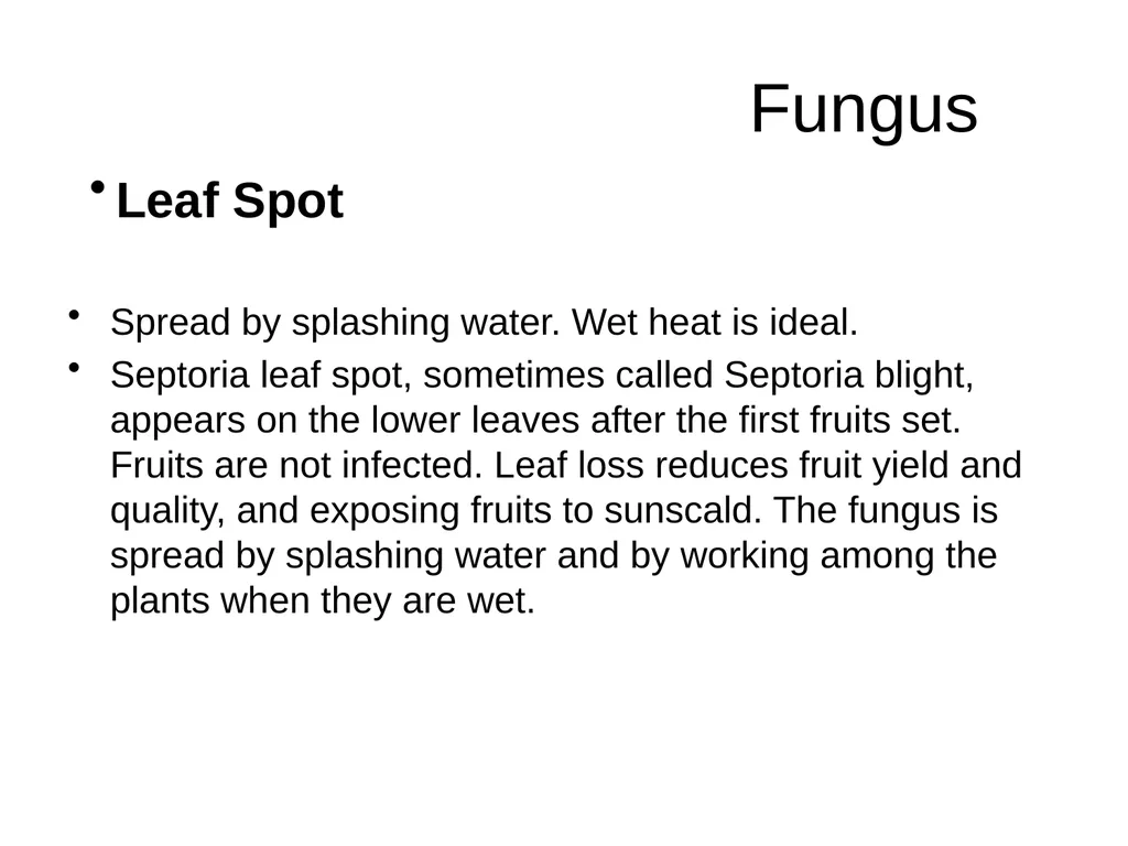 Plant Diseases Joan Young, Lyon Co. Master - slide 11 of 31