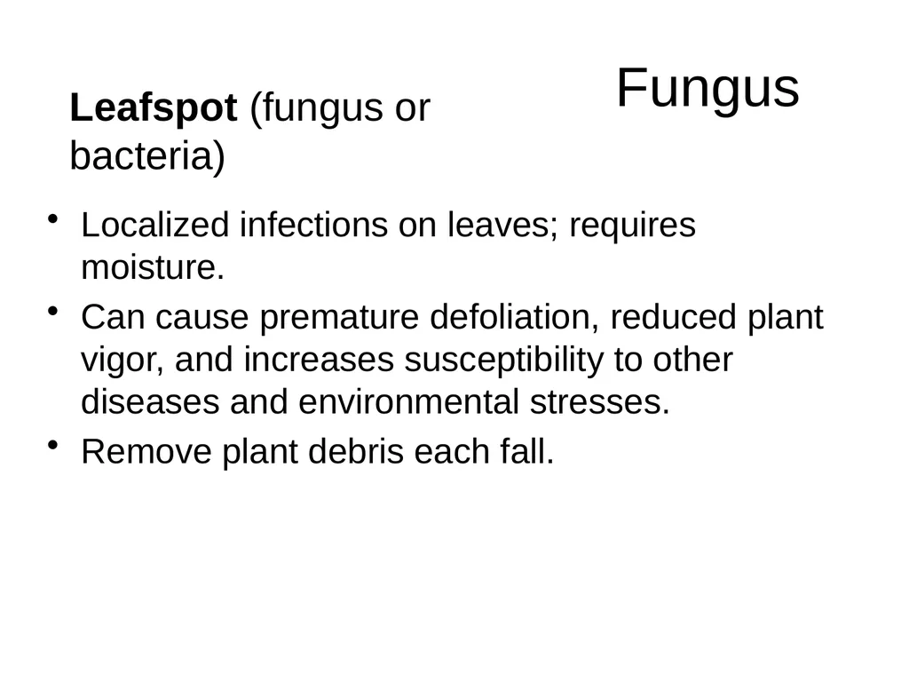 Plant Diseases Joan Young, Lyon Co. Master - slide 15 of 31