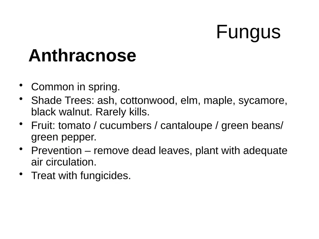 Plant Diseases Joan Young, Lyon Co. Master - slide 2 of 31