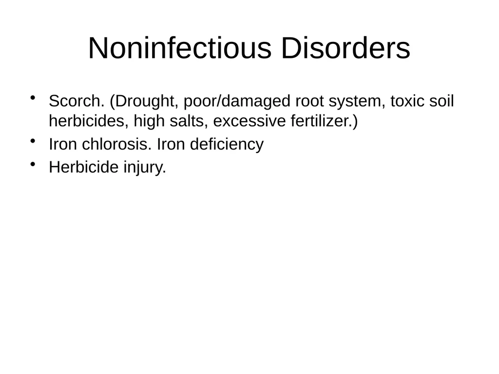 Plant Diseases Joan Young, Lyon Co. Master - slide 30 of 31
