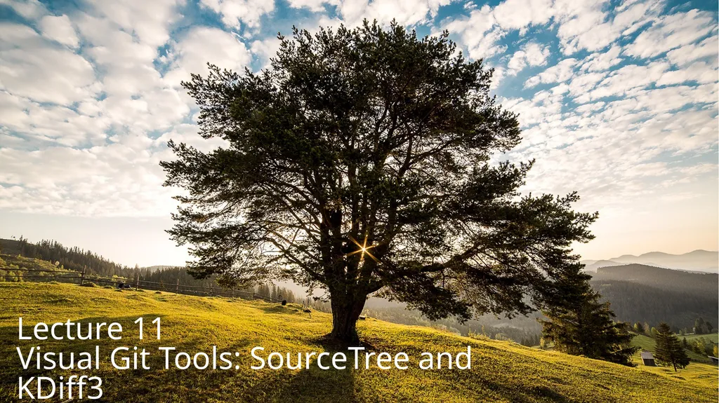 Lecture 11 Visual Git Tools: SourceTree and KDiff3 - slide 1 of 9