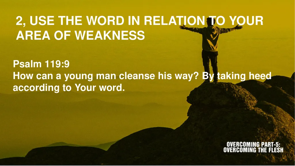 Scripture texts: James 1:13-16; Romans 8:1-13 1, - slide 4 of 16