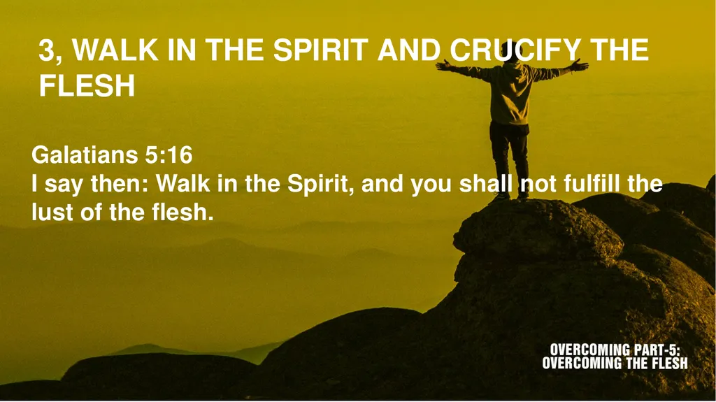 Scripture texts: James 1:13-16; Romans 8:1-13 1, - slide 8 of 16