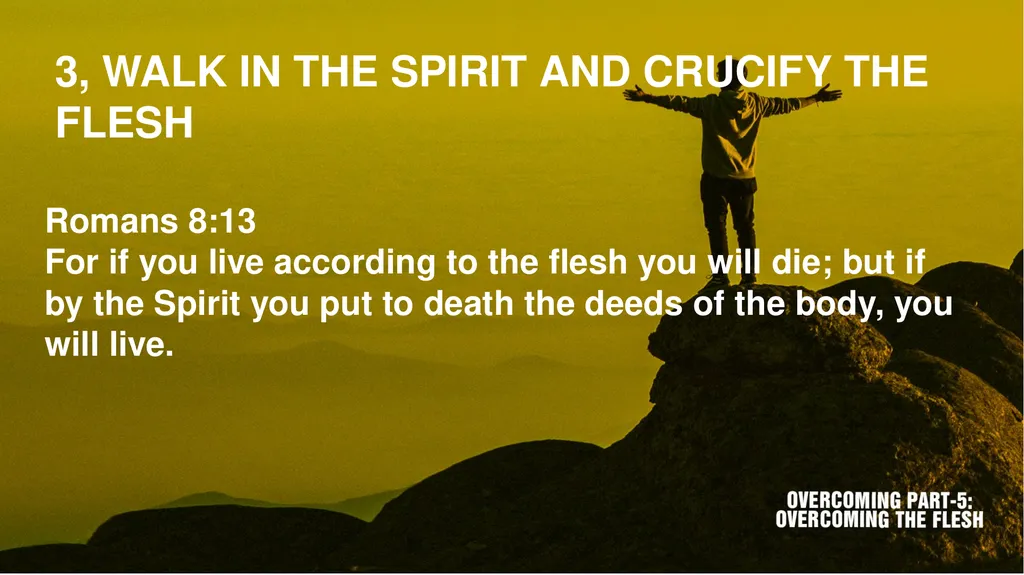 Scripture texts: James 1:13-16; Romans 8:1-13 1, - slide 9 of 16