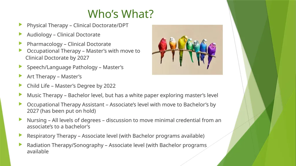 What Should be the Educational - slide 11 of 33