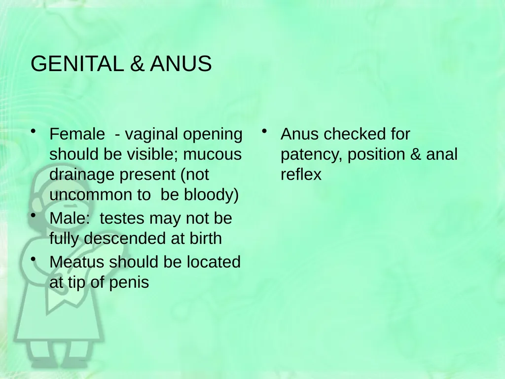 Newborn Assessment Jan Mould, RN, BSN, MEd HOSA – - slide 23 of 25
