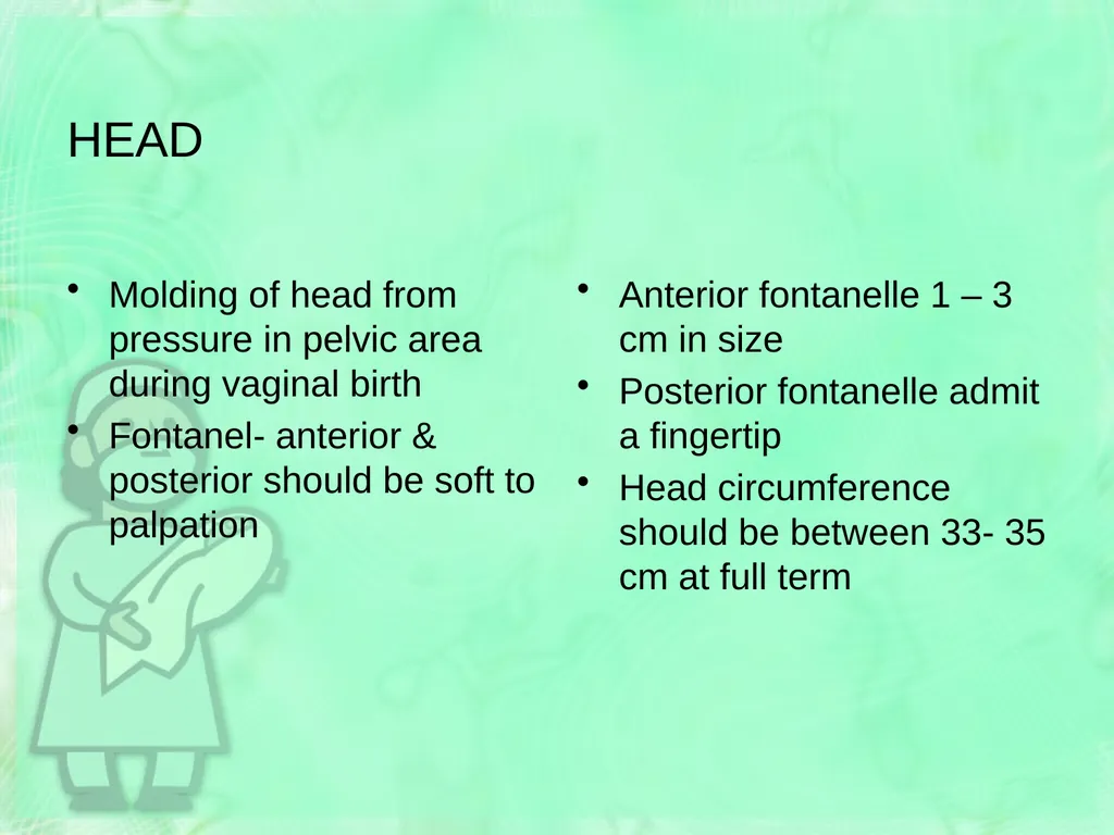 Newborn Assessment Jan Mould, RN, BSN, MEd HOSA – - slide 17 of 25