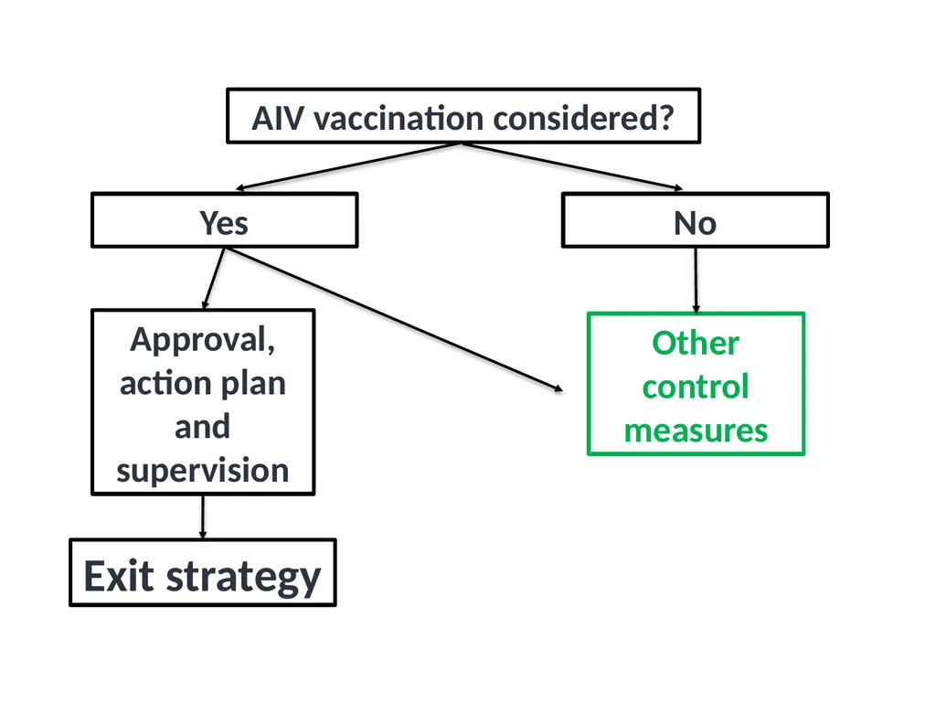 Module V6 Avian Influenza Virus Poultry Vaccines - slide 3 of 34