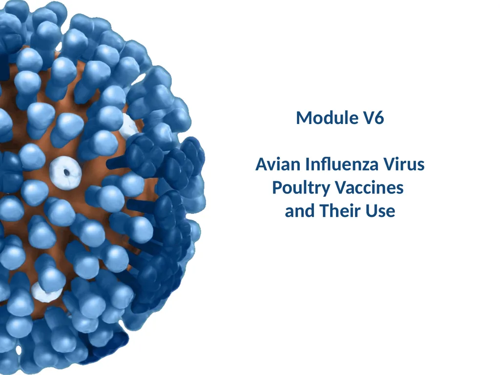 Module V6 Avian Influenza Virus Poultry Vaccines - slide 1 of 34