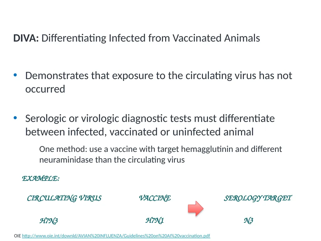 Module V6 Avian Influenza Virus Poultry Vaccines - slide 19 of 34