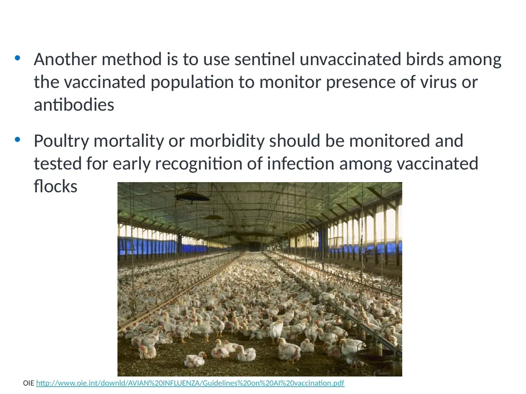 Module V6 Avian Influenza Virus Poultry Vaccines - slide 20 of 34