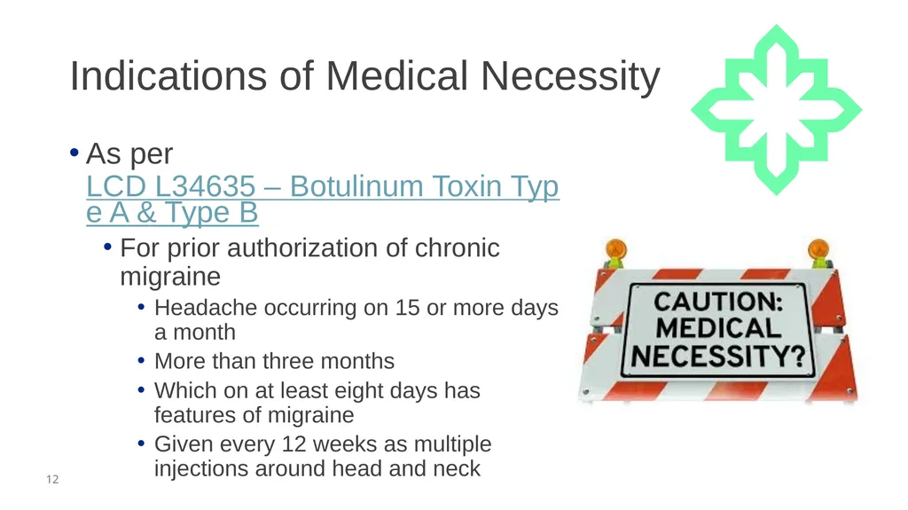 Audio Information The presenter started speaking - slide 12 of 28
