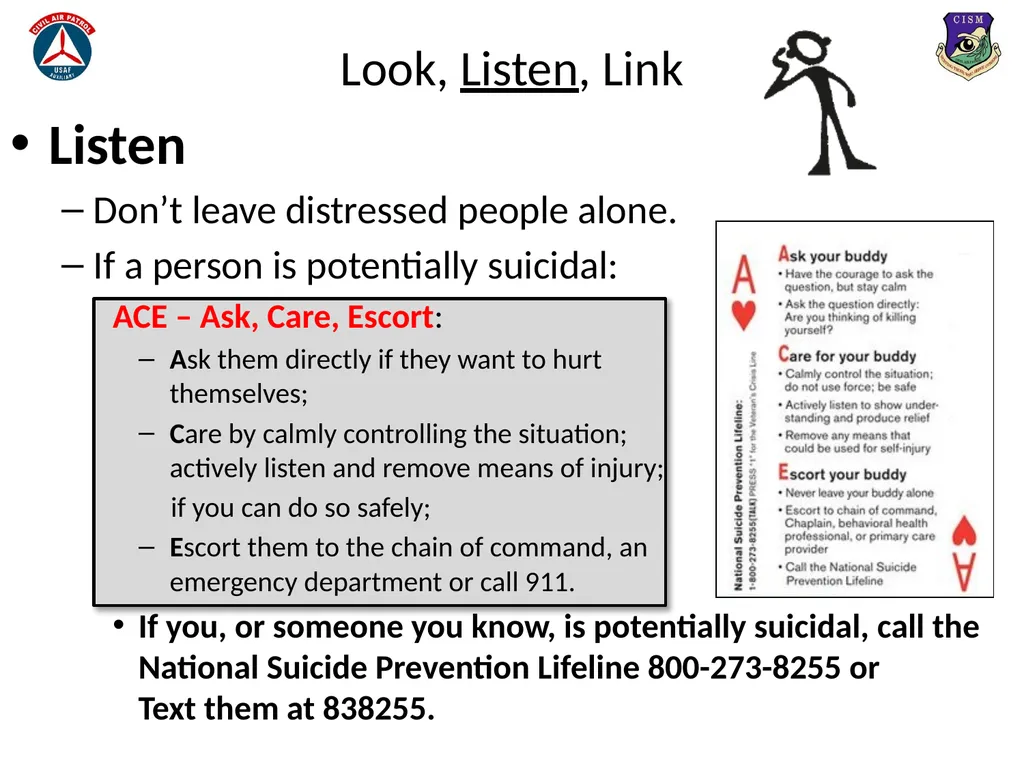Look, Listen, and Link (LLL) Basic Psychological - slide 16 of 31