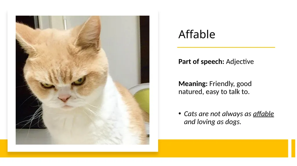 Year 8 Vocab Term 1, List 1 Tangible Part of - slide 4 of 11