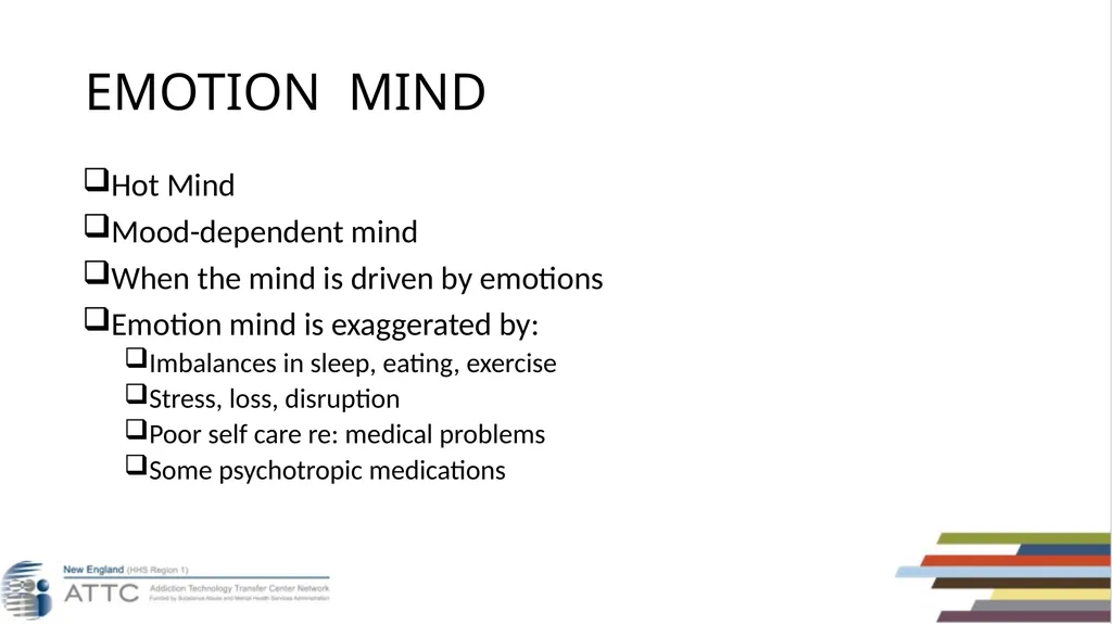 Taylor D’Addario, LMHC, LCDP Dialectical Behavior - slide 24 of 96