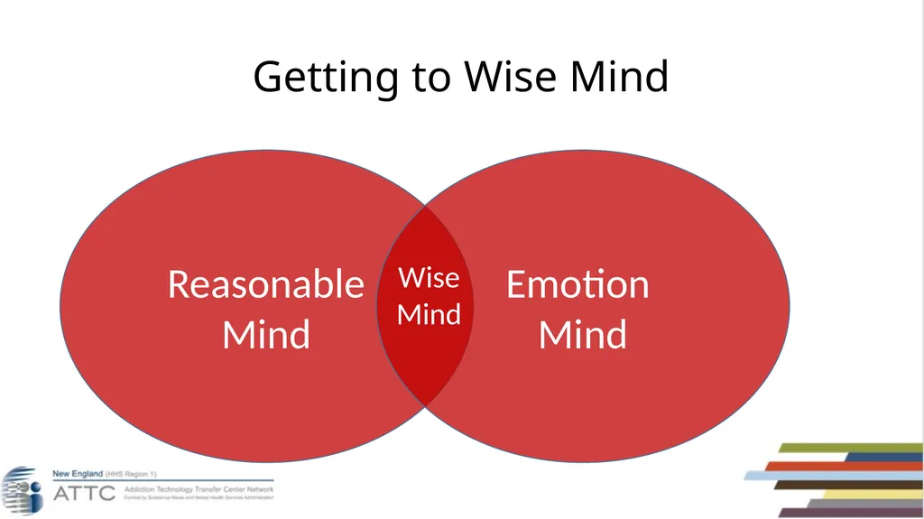 Taylor D’Addario, LMHC, LCDP Dialectical Behavior - slide 27 of 96