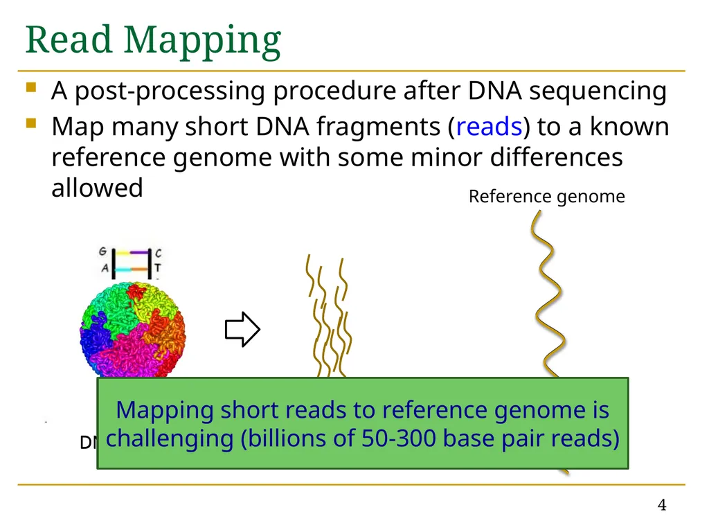 Accelerating Read Mapping with FastHASH Hongyi - slide 4 of 34