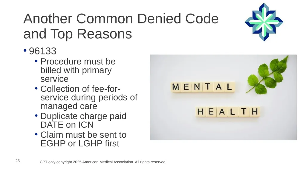 Mental Health Playbook – Clinical Psychologist - slide 23 of 48