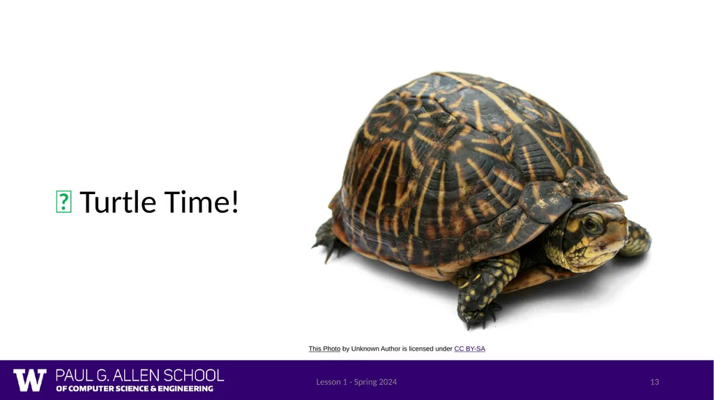 Lesson 1 - Spring 2024 1 CSE 121 Lesson 1: - slide 13 of 22