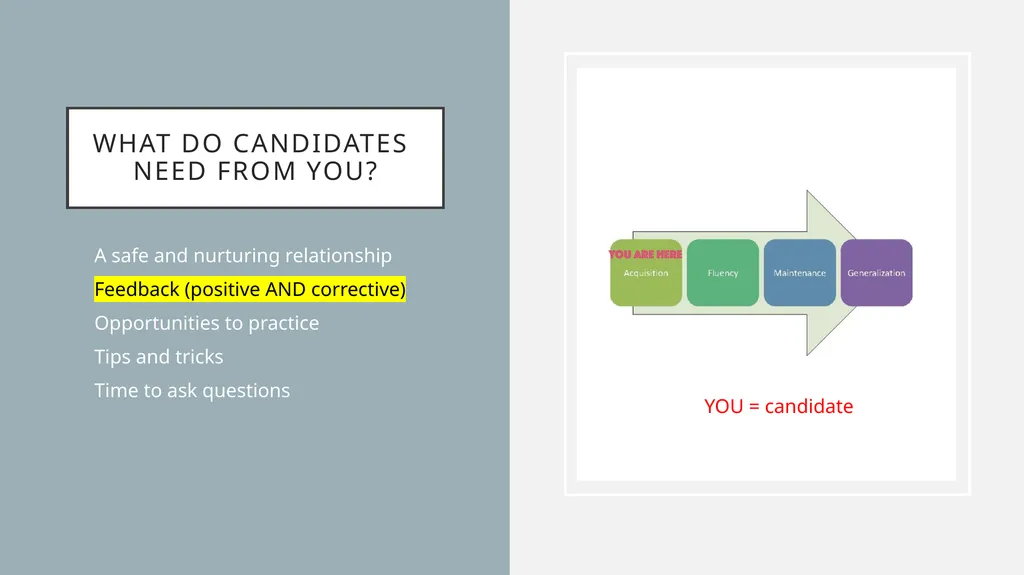 Cooperating teacher orientation Spring 2024 CI 401 - slide 9 of 20