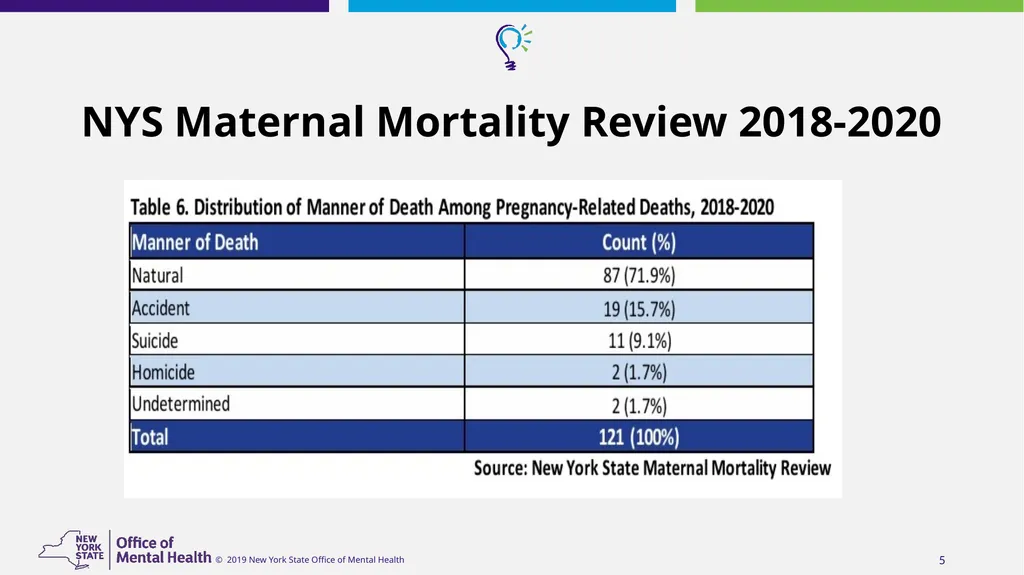 Suicide Risk Assessment and Management in - slide 5 of 23