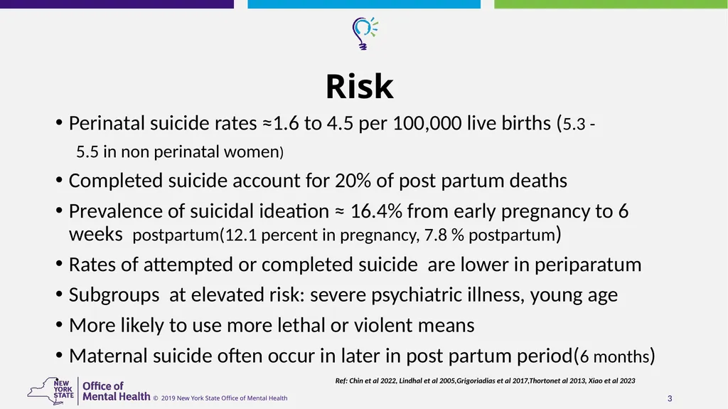 Suicide Risk Assessment and Management in - slide 3 of 23