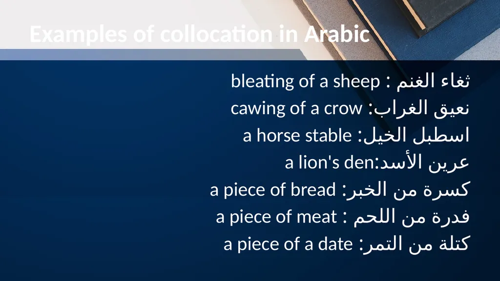 Prepared by: Mohammed Ali Ayad Lexical semantics - slide 16 of 27
