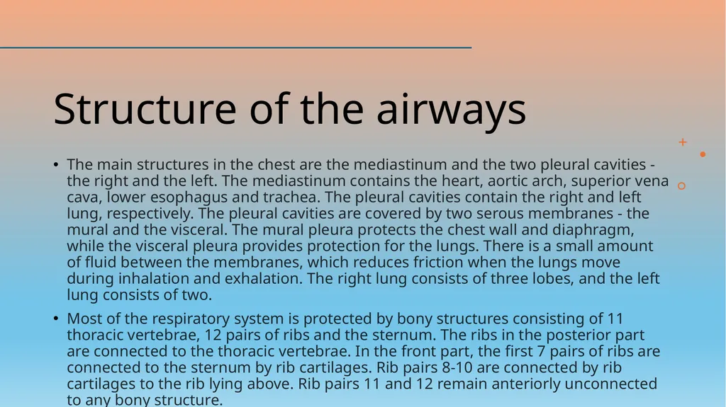 Airway assessment Joanna Szczepanik Iwona - slide 20 of 26