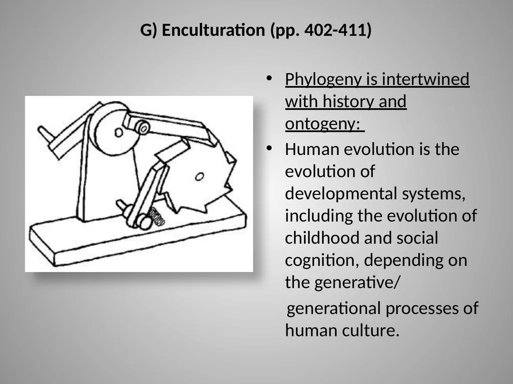 Evan Thompson – Mind in Life Chapter 13: Empathy - slide 29 of 29
