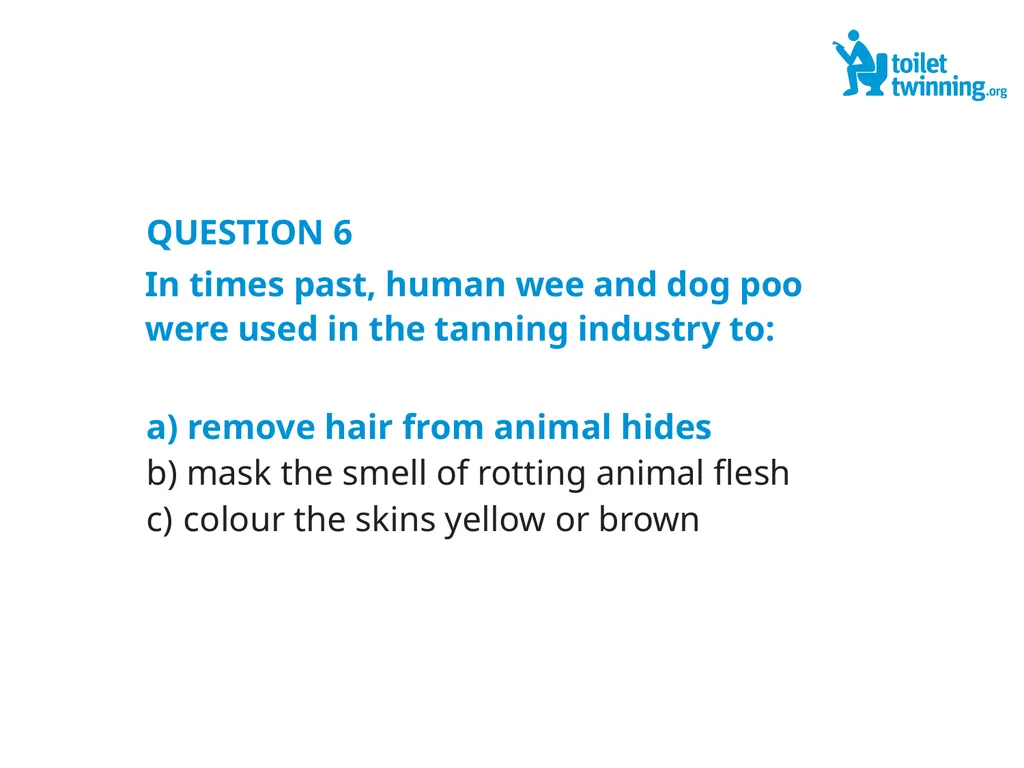 Toilet Twinning QUIZ QUESTION 1 Over a lifetime, - slide 13 of 31