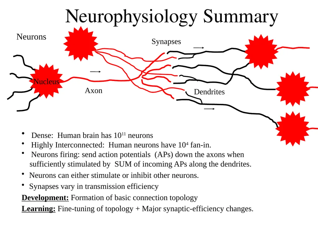 Neural Coding CS786 January 20th 2022 - slide 2 of 8