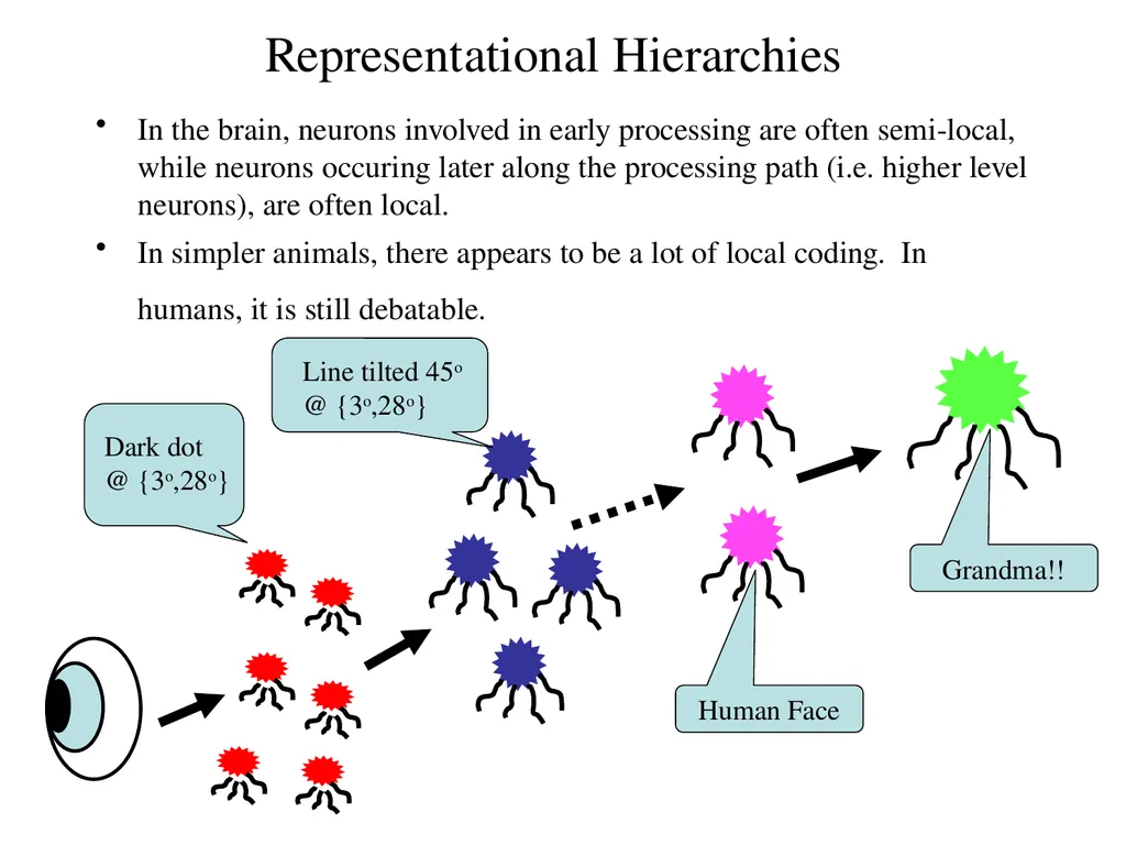 Neural Coding CS786 January 20th 2022 - slide 8 of 8