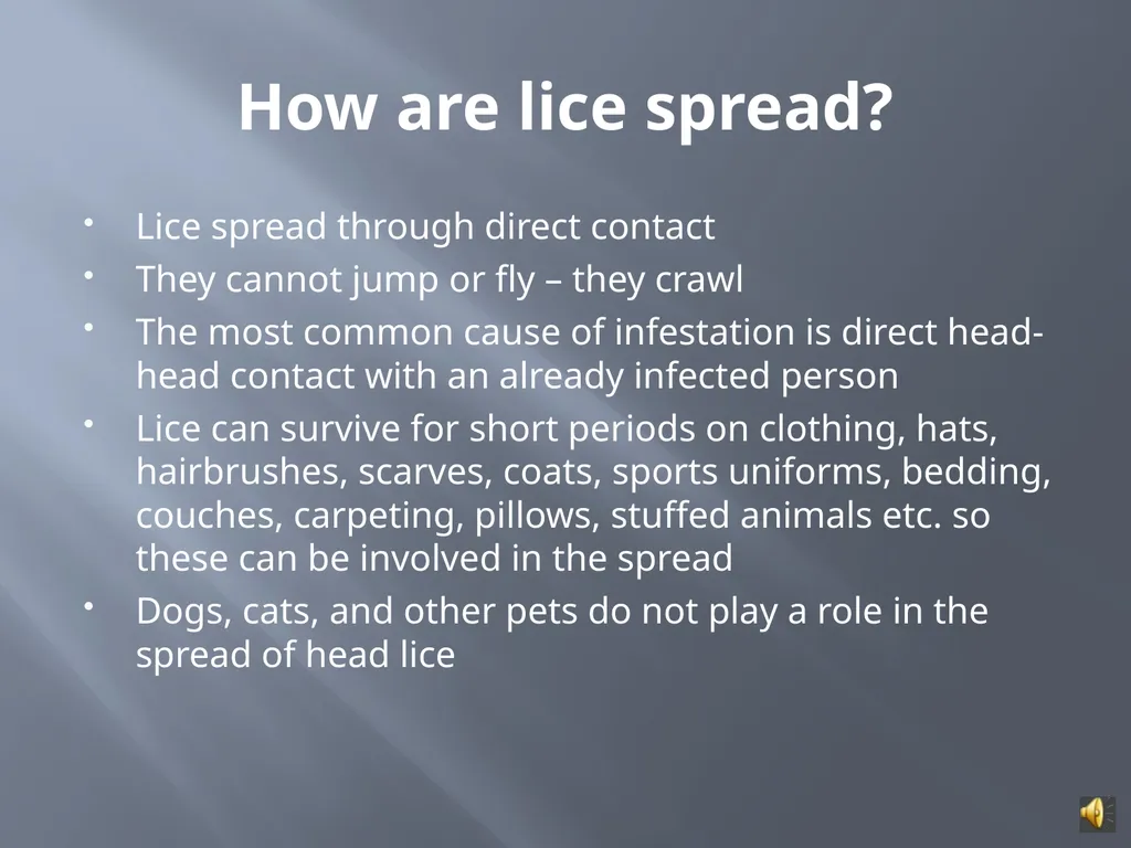 MANAGING HEAD LICE IN THE SCHOOL SETTING A - slide 10 of 22