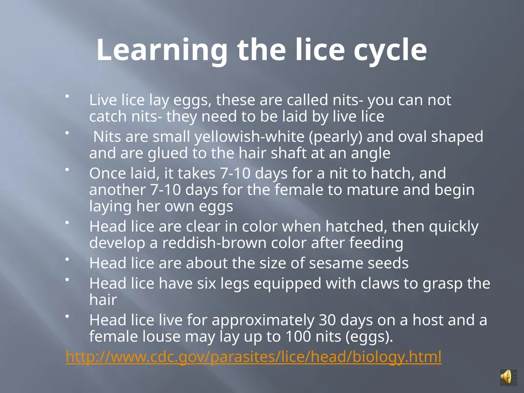 MANAGING HEAD LICE IN THE SCHOOL SETTING A - slide 6 of 22