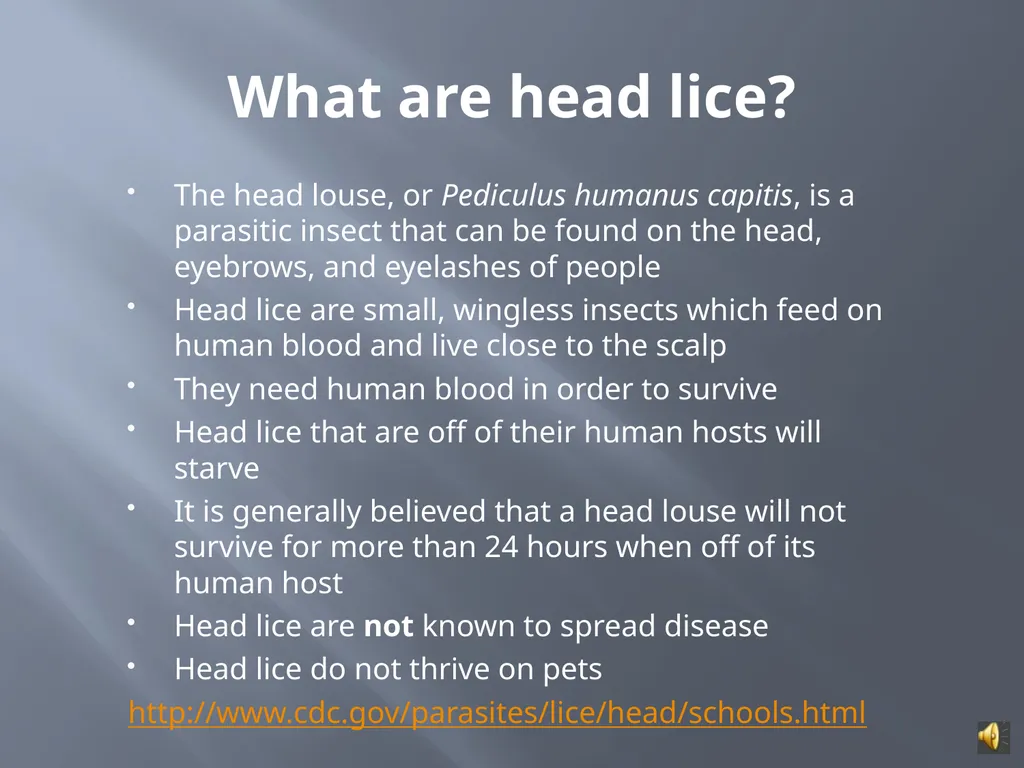 MANAGING HEAD LICE IN THE SCHOOL SETTING A - slide 5 of 22