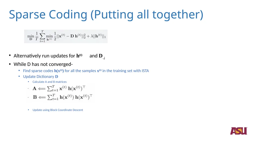 Optimizations in Sparce Coding Unlabeled data is - slide 11 of 13
