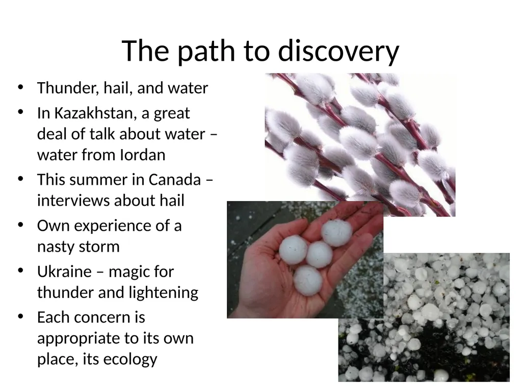 Rituals in the Ukrainian Diaspora: Problematizing - slide 13 of 32