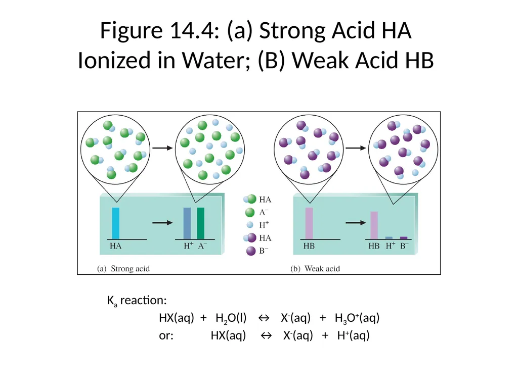 Lecture 2 Introduction to Acids and Bases Quiz - slide 20 of 45