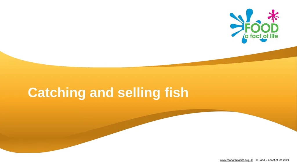 Catching and selling fish Catching fish Fish can - slide 1 of 11