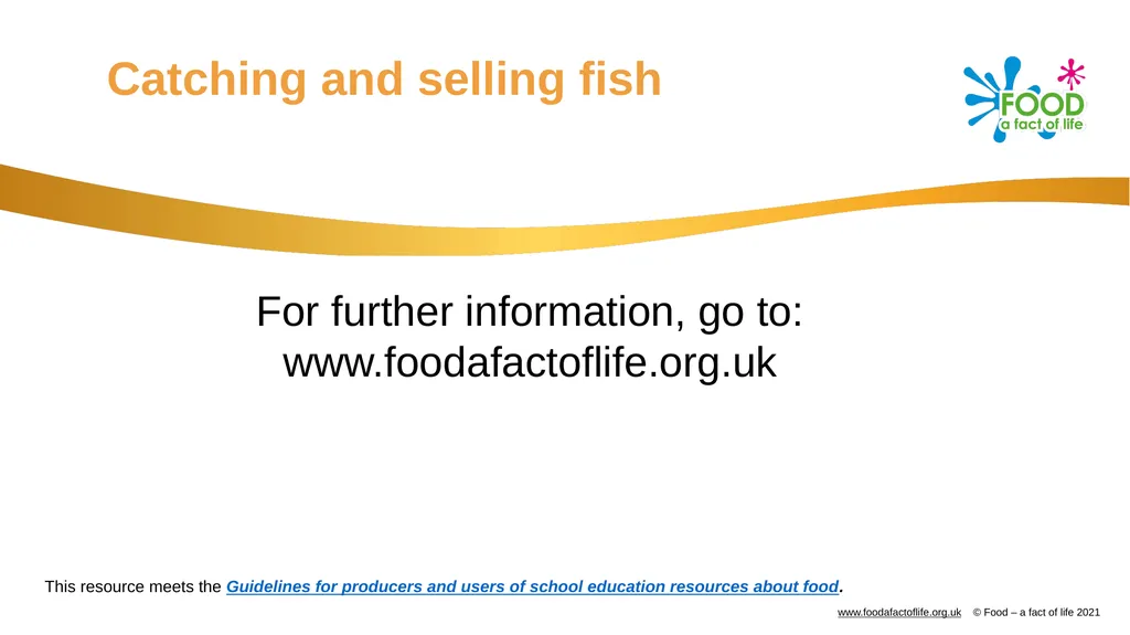Catching and selling fish Catching fish Fish can - slide 11 of 11