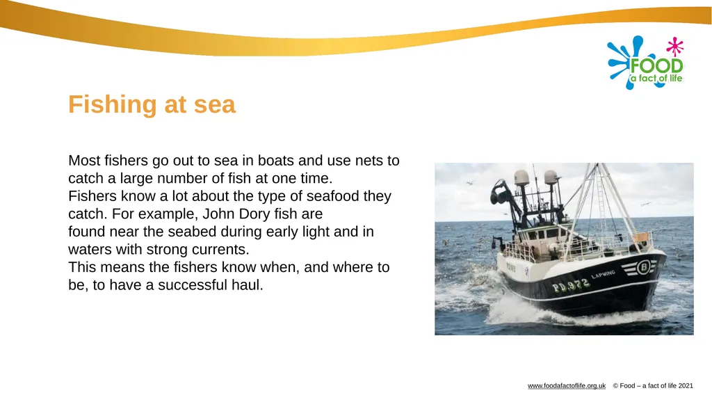 Catching and selling fish Catching fish Fish can - slide 3 of 11